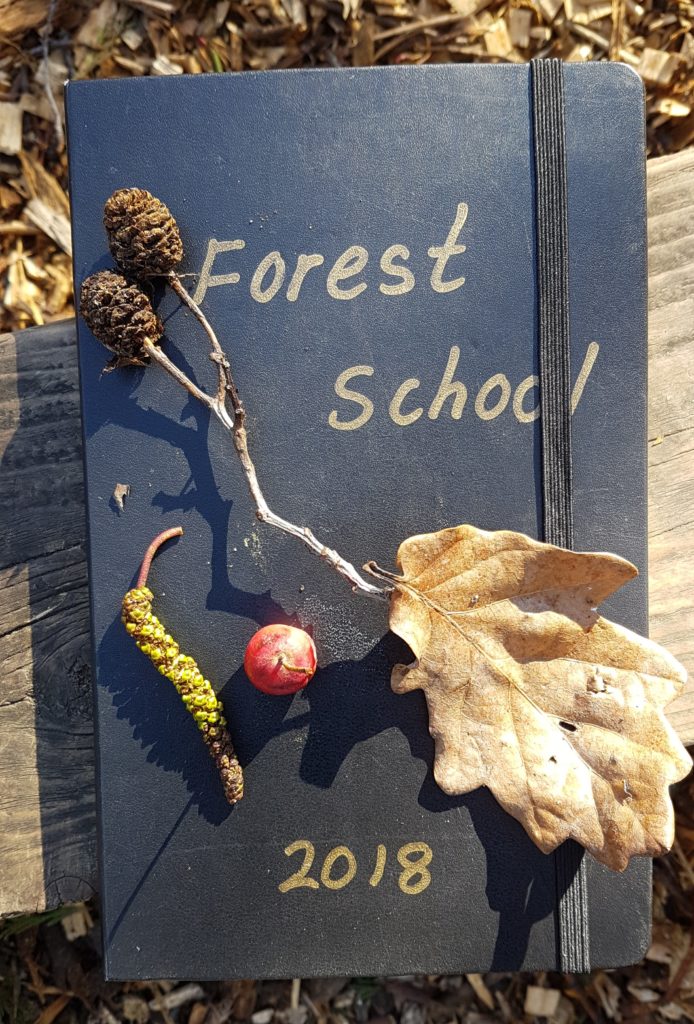 Picture of my Forest School diary